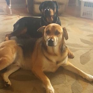 Meet your Posher, Denise